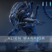 Hot Toys MMS898/899 1/6����������2������սʿ ��ͨ/������