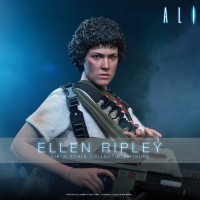 Hot Toys MMS894/895 1/6����������2������.������ ��ͨ/������