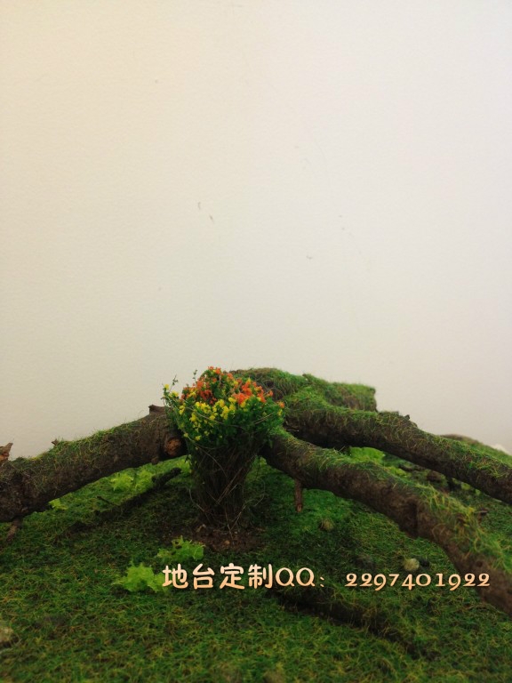 IMG_5490_meitu_3.jpg