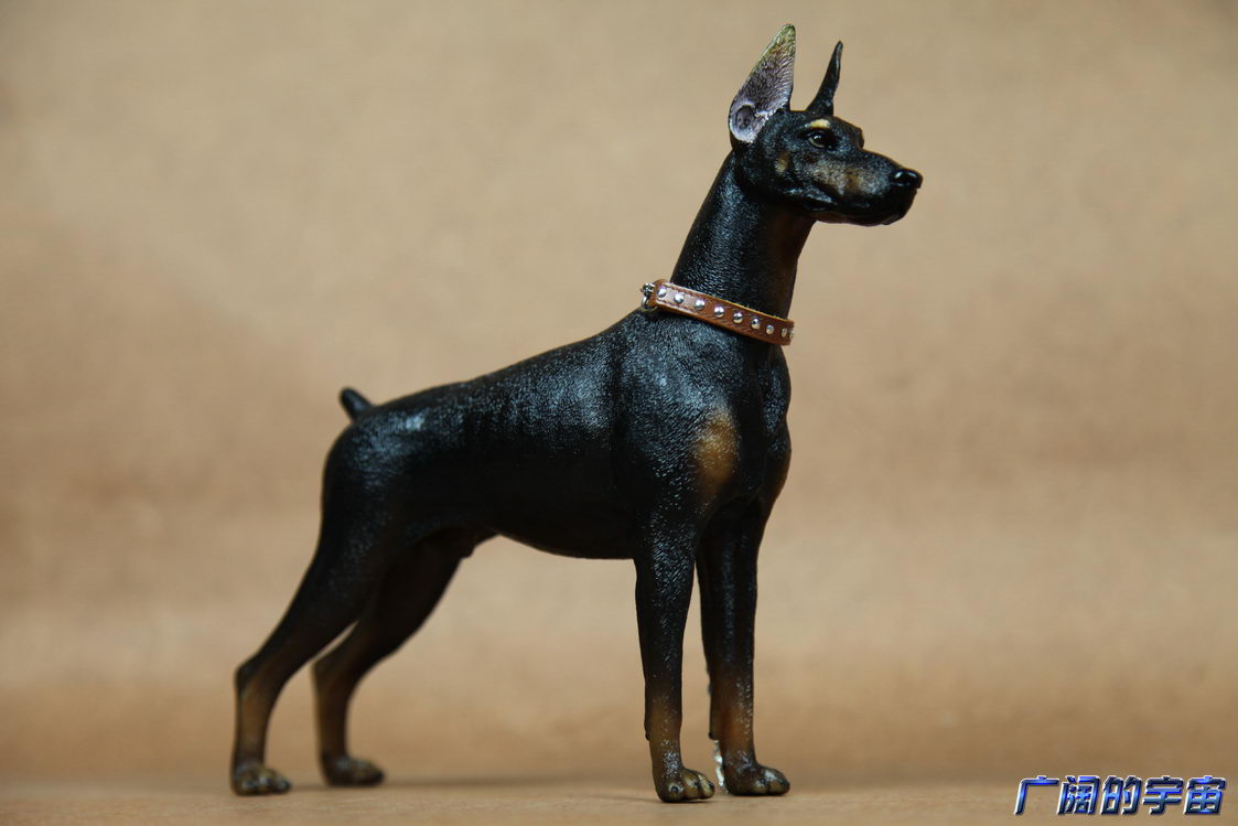 进化吧数码兽怎么进化_进化吧数码兽数码徽章_数码宝贝 杜宾犬兽进化成什么