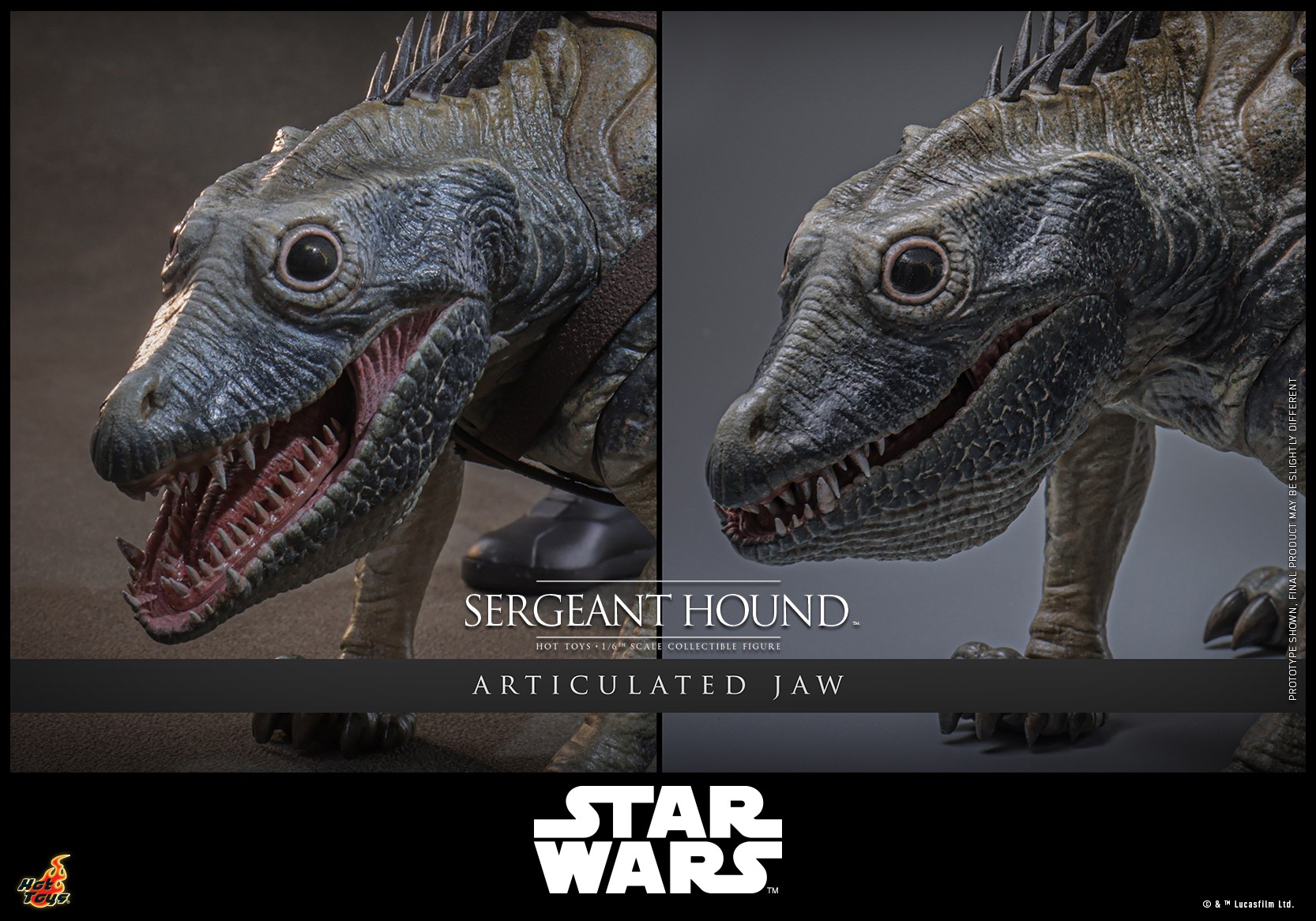 Hot Toys - SW Clone Wars - Sergeant Hound_PR18.jpg