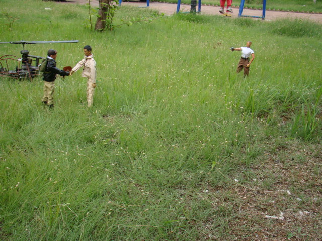 DSC03273.JPG