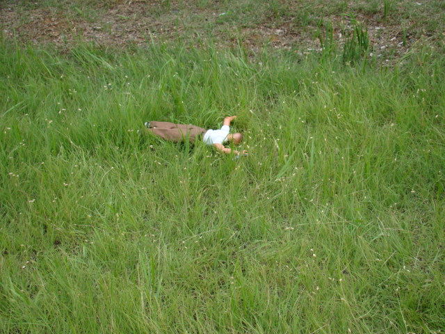 DSC03300.JPG