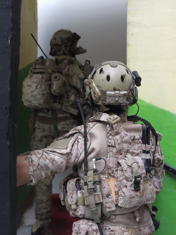 nsm2.jpg
